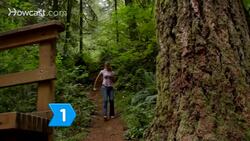 How to Apologize to Your Wife Instructional Video