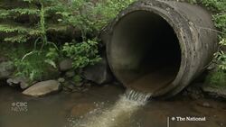 Quebec launches water conservation project to mixed reviews News Clip