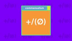 Ecological Symbiosis Instructional Video