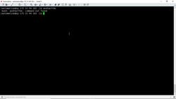 Bash Shell Scripting- Exit Status of a Command Instructional Video