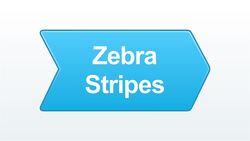 How to Create a Zebra Print Nail Art Design Instructional Video