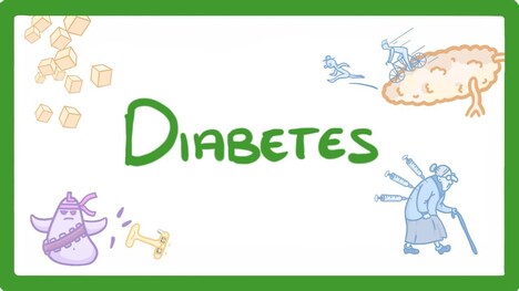 GCSE Biology - Type 1 vs Type 2 Diabetes - What is Diabetes and How to Treat It #57