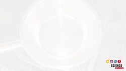 Leaf Chromatography: Explore the Colors of Fall Instructional Video