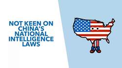 Will TikTok Be Banned? Is TikTok a National Security Threat? - TLDR News Instructional Video