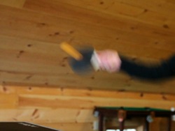 Objectos en movimiento: recapitulando Instructional Video