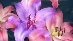 Endothermic and Exothermic Reactions Instructional Video