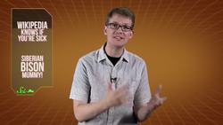 Arctic Bison Mummy! Instructional Video