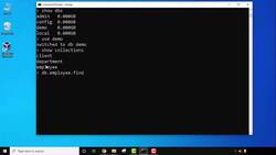 MongoDB Tutorial for Beginners (2022) - Display Documents in a Formatted Way - pretty() Method Instructional Video