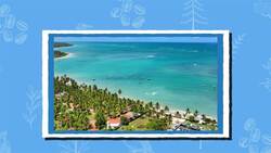 I WONDER - What Do Brazilian People Wear On New Year's? Instructional Video