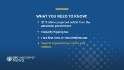Takeaways and reactions to B.C.’s 2024 budget News Clip