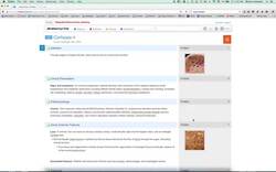 AnatomyOne - Features Instructional Video