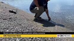 Nicola Lake algae bloom raises public safety concerns News Clip