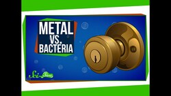 Metal vs. Bacteria Instructional Video