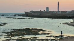 Wide Angle: Woman Walks Dog on Reef Stock Footage