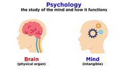 Introduction to Psychology Instructional Video