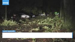 Newsy's Latest Headlines News Clip