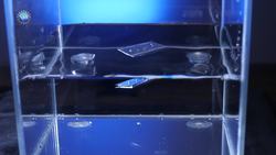 4 Awesome Discoveries You Probably Didn’t Hear About - Episode 38 Instructional Video