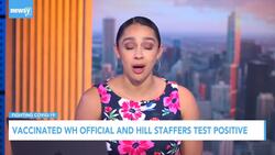 White House Official And Hill Staffers Test Positive For COVID News Clip