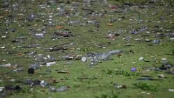 CLEAN : Plastic pollution invades Central American waters News Clip