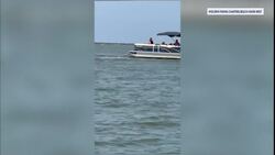 Necropsy on whale that charged boat on Barnegat Bay found animal was thin, had empty stomach News Clip