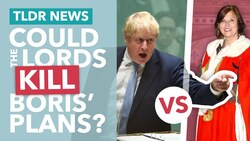 Are Johnson's Controversial Plans Dying in the House of Lords? - TLDR News Instructional Video