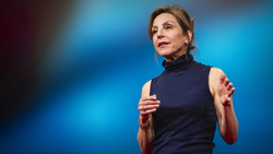 TED: How testosterone and culture shape behavior | Carole K. Hooven Instructional Video