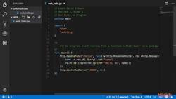 Learn Go in 3 Hours - Building a Web Server in Go Instructional Video