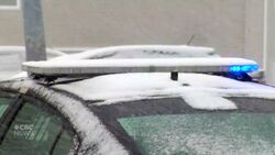 2nd psychiatric assessment ordered for accused in slaying of 2 Saint John boys News Clip