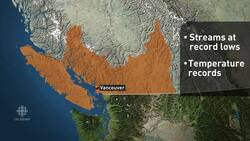 Salmon threatened by B.C. heat wave News Clip