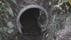 waste water flow to sewer with moss Stock Footage