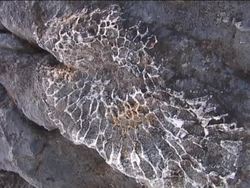 Earth's Moving Plates Instructional Video