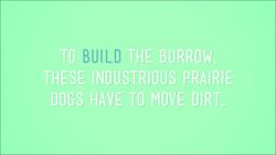 Big Changes in the Big Forest Instructional Video