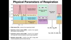 Calculations with Respiratory Parameters [IRV, ERV, TV, VC, & More] Instructional Video