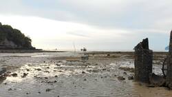 I WONDER - What Animals Live On The Beach? Instructional Video