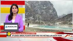 10 Deadly Snakes Spotted Near Mount Everest | Here's Why Experts Are Worried News Clip