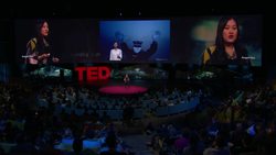 TED: How China is (and isn't) fighting pollution and climate change | Angel Hsu Instructional Video