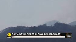 UN deploys emergency teams as wildfires rage along Syrian coast News Clip