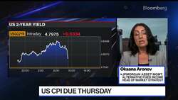 'Perfect Storm' Forming for Fixed Income: JPM's Aronov News Clip