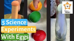 5 Science Experiments with Eggs Instructional Video