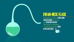 3 World-Changing Biology Experiments Instructional Video