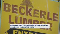 Experts and local businesses react to the tariffs going into effect on Canada and Mexico Instructional Video