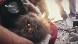 $17.74: How a Prisoner Gave His Entire Paycheck to Gaza News Clip