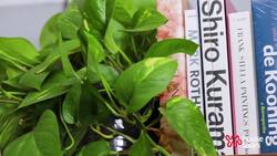 Justin's Warm and Cheery Astoria Apartment | House Tours Instructional Video