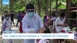 CDC: Delta Variant Is Now 'Variant Of Concern' News Clip