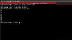 Bash Shell Scripting - File Descriptors Usage Instructional Video