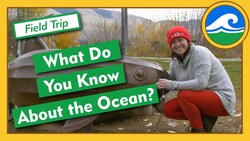 What Do You Know About the Ocean? - Field Trip Instructional Video