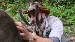 Baby Reindeer Loves Hugs! Instructional Video