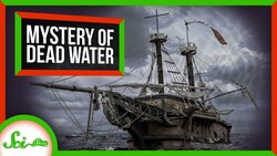 This Old Sailors’ Mystery Could Help Save Swimmers Instructional Video