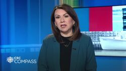 How cryptocurrency scams cost Islanders nearly $200k last year News Clip