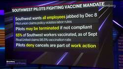 Southwest Airlines Strands Thousands of Flyers News Clip